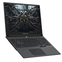 MOMENTPLUS 策画师 P2  16.1英寸 游戏本 黑色（锐龙R5-6600H、RX 6500M 4G、16GB、512GB SSD、2.5K）