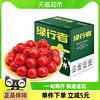 88VIP：GREER 绿行者 自熟樱桃番茄 1kg
