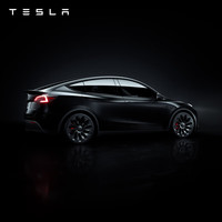 特斯拉(Tesla)整车延保延长保修服务适用于model3/y/s/x Model Y 2 年/4万公里-新车用户方案