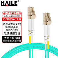 HAILE 海乐 万兆多模光纤跳线LC-LC低烟无卤双芯跳纤OM3-300UPC接头50/125尾纤15米HJ-2LC-LC-MT15