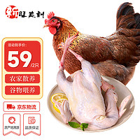 新旺美刻 农家散养黄油老母鸡1kg*2只冷冻 500天散养鸡