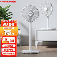 CHANGHONG 长虹 LD2505 立式风扇 标准款