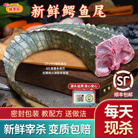 桃李旺（taoliwang）鳄鱼生鲜肉 新鲜现杀鳄鱼尾巴肉 鳄鱼掌鳄鱼肚 整只刺身煲汤火锅 【2kg】鳄鱼尾巴肉