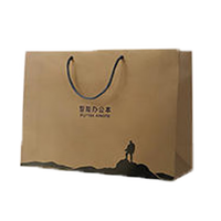 科大讯飞智能办公本配件系列 【袋】办公本X3系列适用