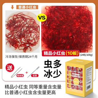 BESSN红虫冰冻牛心汉堡丰年虾罗汉鱼金鱼七彩鱼发财鱼饲料鱼食 【冷库直发】精品小红虫10板+喂食镊+吸管