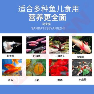 BESSN红虫冰冻牛心汉堡丰年虾罗汉鱼金鱼七彩鱼发财鱼饲料鱼食 【冷库直发】珍珠虾10版+1板+喂食镊+吸管
