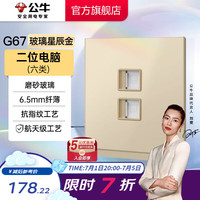 公牛（BULL）蝶翼超薄开关玻璃面板86型usb五孔带开关网络空调插座G67星辰金 【二位电脑(六类)】