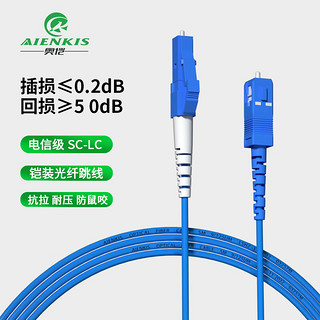 AIENKIS 奥恺 AK-LS20-DKSM 电信级20米铠装光纤跳线LC-SC单模单芯光纤跳线尾纤跳纤光纤线抗拉压防鼠咬