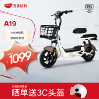 五星钻豹新国标电瓶车48V12AH小型代步车两轮电动自行车 A19 源彩棕/源彩奶白/F星辰白