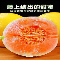 果益寿 黄河蜜瓜 9斤装3-5个瓜