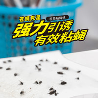 榄菊 苍蝇贴纸粘大棚用家用大号养殖场果蝇室内商用灭蝇纸沾粘蝇板