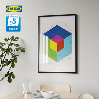 IKEA宜家RODALM略达姆画框相框挂墙画框墙面装裱现代家用