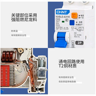 正泰（CHNT）NXBLE-63YH-2P-C16-30mA-6kA 紧凑款小型漏电保护断路器 漏保空气开关 16A