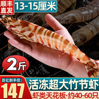 首鲜道斑节虾特大海鲜竹节虾鲜活急冻九节虾生鲜虾类基尾虾 2斤 40-60只 约13-15CM 款