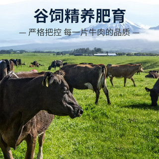 目无全牛整切调理牛排套餐1500g(10片装) 上脑西冷眼肉牛扒轻食烧烤