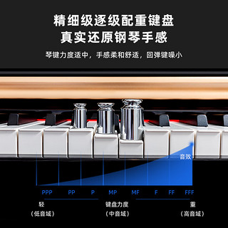 Wiyas威雅斯EP109立式电钢琴88键重锤家用儿童专业演奏数码智能琴 演奏级推拉盖纯钢经典-烤漆白