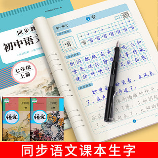 书行 七年级上册下册语文同步练字帖初一初中生人教版789年级硬笔练字本每日一练八九年级书法楷书描红钢笔写字本七下七上一手好字 九年级同步字帖上册 语文同步字帖（62页/本）