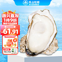 乳山牡蛎 鲜活乳山生蚝2XL号 户外烧烤食材 净重2.5kg 18-25只