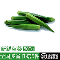 绿食者 新鲜秋葵500g 水果秋葵 六角羊角豆 新鲜当季农家蔬菜