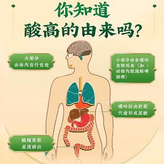 【加量不加价】北京同仁堂菊苣栀子茶160g 茯苓降葛根尿酸茶风痛关节痛养生花草茶 菊苣栀子茶⭐搭降尿酸痛风茶