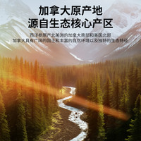88VIP：同仁堂 北京同仁堂 Tongrentang Chinese Medicine加拿大花旗参西洋参片补品大片店参片
