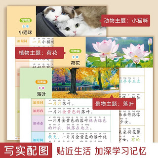 小学每日晨读妙笔生辉写作技巧全4册 五感法写作文+扩句法 一至六年级好词好句好段大全优美句段篇积累仿写练习优美句子一看就会扩充