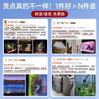 BIOZYM百因美鱼缸过滤材料水族过滤滤材过滤器培菌硝化细菌屋石英中空球 0.6cm石英中空球丨1000g/盒