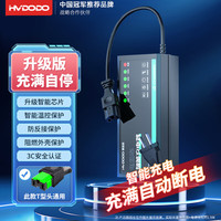 慧多多电动车电瓶车充电器60V20Ah雅迪爱玛台铃新日绿源比德文铅酸电池