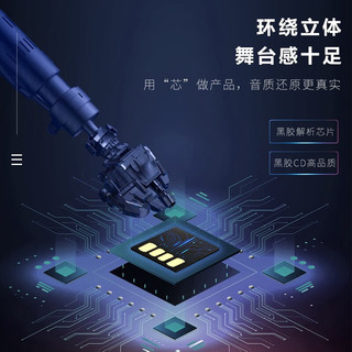 巫记 宝马车载U盘歌曲音乐2024高品质X3系X5系x1无损音质X7系优盘 【宝马-64G】Type-C接口
