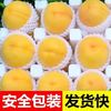 樱鲜 黄毛桃 净重2.25斤