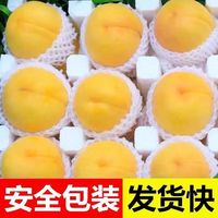 樱鲜 特大果 山东蒙阴 黄金蟠桃 2.5斤装 4-7个