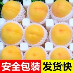 樱鲜 特大果 山东蒙阴 黄金蟠桃 2.5斤装 4-7个