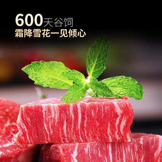 龍江和牛国产和牛 原切西冷/眼肉/菲力牛排 谷饲600天 雪花牛肉 生鲜牛排 原切A2菲力儿童牛排220g/盒*2