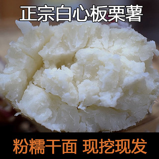 百亿补贴：现挖白心板栗薯新鲜老品种红皮白瓤红薯白肉番薯山芋粉糯5斤/9斤