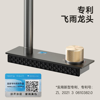 东装 TOSO厨房水槽飞雨瀑布大单槽手工304不锈钢台中下洗菜盆一体盆洗碗池 飞雨瀑布+洗杯器+台控+净水龙头 800*460MM
