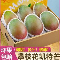 尹福记四川攀枝花凯特芒果新鲜水果超大皮薄肉厚大芒果 新鲜凯特芒 净重 8.5-9斤装