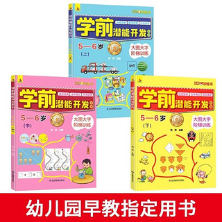 学前潜能开发5-6岁全套3册幼儿全脑思维逻辑专注力训练宝宝书籍益智启蒙早教书绘本幼儿园智力大开发