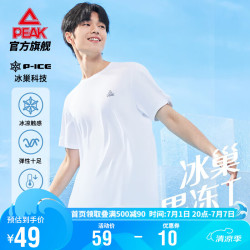 PEAK 匹克 短袖男夏季冰丝短袖透气休闲上衣运动宽松打底衫速干t恤DF642061