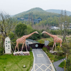 江浙沪遛娃必囤款，暑假平日不加价！湖州长颈鹿庄园 多房型1晚套餐（含2大1小早餐+长颈鹿景区+萌宠乐园+旅拍+景区观光车通票）
