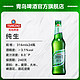 TSINGTAO 青岛啤酒 纯生8度 316mL 24瓶