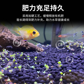 森森水草泥鱼缸水草缸造景陶粒砂免冲洗底砂套餐 6升装颗粒2-3mm 带对叶种子一包