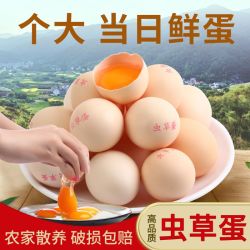 我老家 AA级无沙门氏菌50克虫草蛋高品质散养谷物饲养早餐水煮蛋