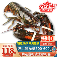 尝鲜生鲜活冷冻波士顿龙虾端午节海鲜礼盒大礼包波龙澳龙澳洲龙虾 鲜冻波龙【500-600g/只】