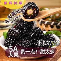 鲜知仕 新鲜树莓黑莓覆盆子 10盒装 100 克/盒