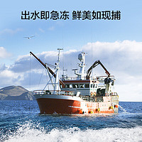 京东京造 法国银鳕鱼1kg 南极海域 原切独立包装 生鲜海鲜水产南极犬牙鱼