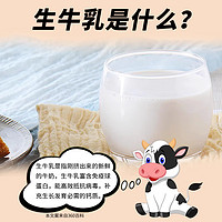 mulun 牧仑 原味奶豆腐顺丰包邮手撕奶酪块