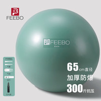 feebo菲柏瑜伽球加厚防爆健身球抗压瑞士球儿童亲子孕妇助产弹力