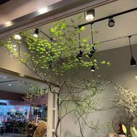 麦桑荷 日本吊钟马醉木鲜切枝条绿植室内水培植物非马醉木北欧风格顺丰 150公分-160公分茂盛款一枝