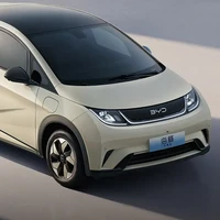 BYD 比亚迪 海豚 25款 520km 骑士版