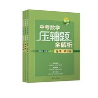 中考数学压轴题全解析